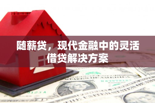 丰县随薪贷，现代金融中的灵活借贷解决方案