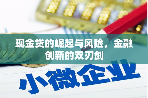 丰县现金贷的崛起与风险，金融创新的双刃剑