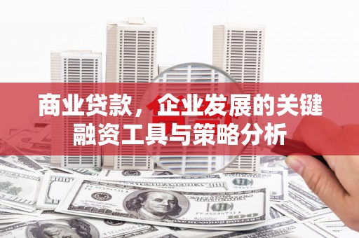 丰县商业贷款，企业发展的关键融资工具与策略分析