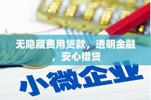 丰县无隐藏费用贷款，透明金融，安心借贷