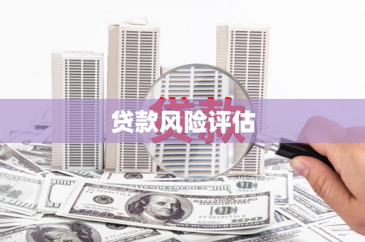丰县贷款风险评估