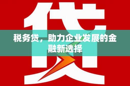 丰县税务贷，助力企业发展的金融新选择