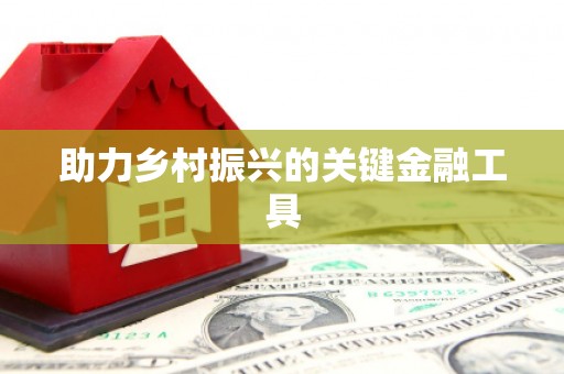 丰县助力乡村振兴的关键金融工具
