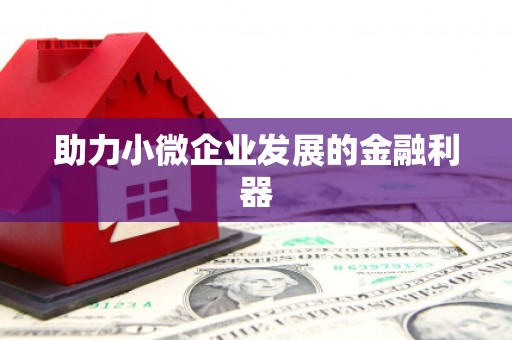 丰县助力小微企业发展的金融利器