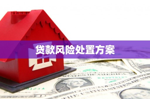 丰县贷款风险处置方案