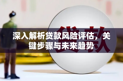 丰县深入解析贷款风险评估，关键步骤与未来趋势