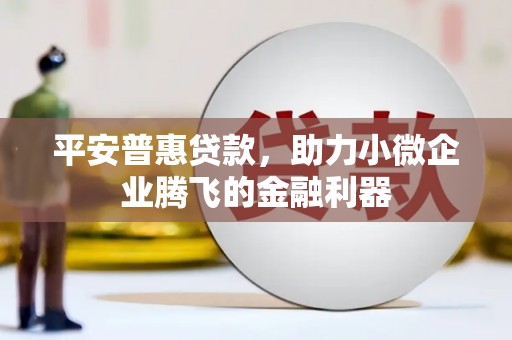 丰县平安普惠贷款，助力小微企业腾飞的金融利器