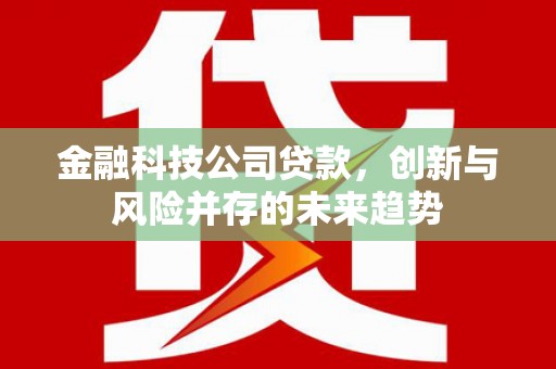 丰县金融科技公司贷款，创新与风险并存的未来趋势