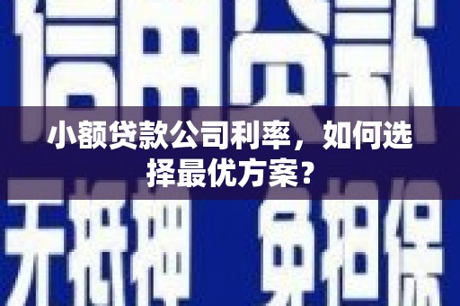 丰县小额贷款公司利率，如何选择最优方案？