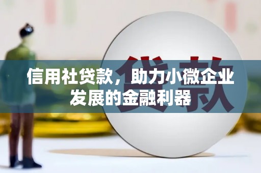 丰县信用社贷款，助力小微企业发展的金融利器