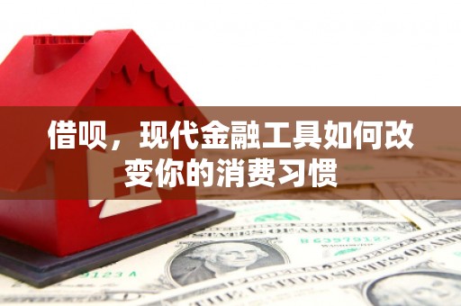 丰县借呗，现代金融工具如何改变你的消费习惯