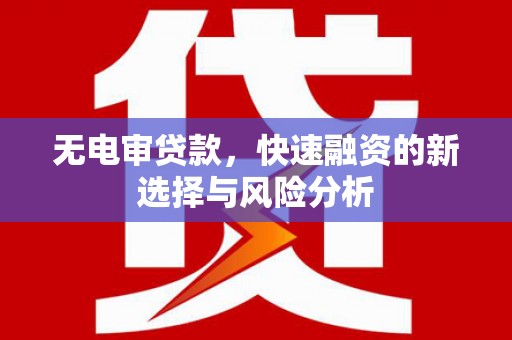 丰县无电审贷款，快速融资的新选择与风险分析