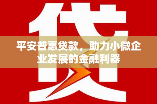 丰县平安普惠贷款，助力小微企业发展的金融利器