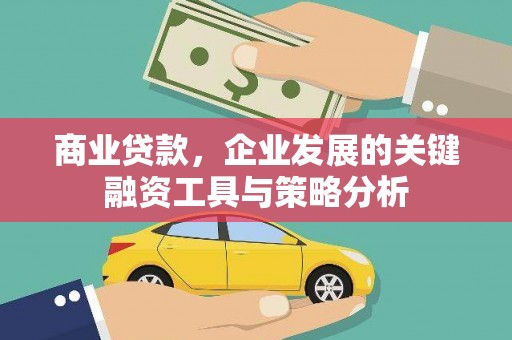 丰县商业贷款，企业发展的关键融资工具与策略分析