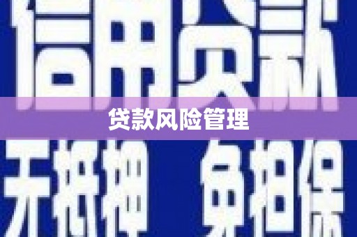 丰县贷款风险管理