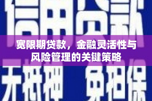 丰县宽限期贷款，金融灵活性与风险管理的关键策略