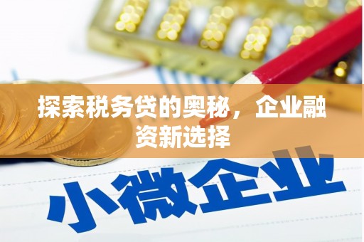 丰县探索税务贷的奥秘，企业融资新选择