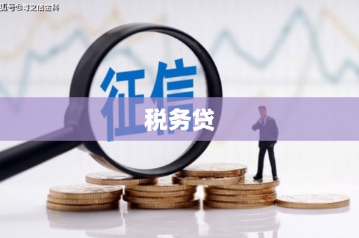 丰县税务贷