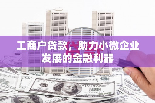 丰县工商户贷款，助力小微企业发展的金融利器