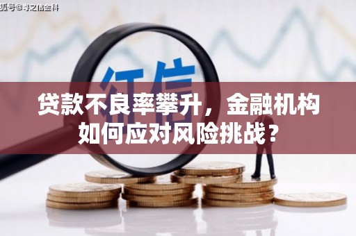 丰县贷款不良率攀升，金融机构如何应对风险挑战？