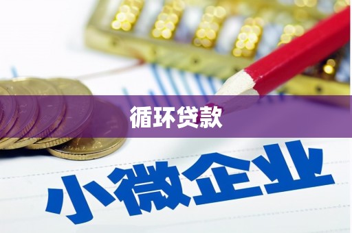 丰县循环贷款