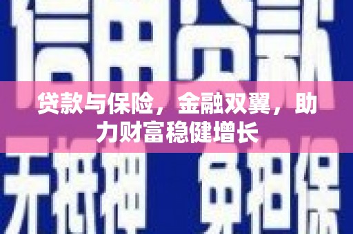 丰县贷款与保险，金融双翼，助力财富稳健增长
