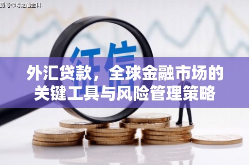 丰县外汇贷款，全球金融市场的关键工具与风险管理策略