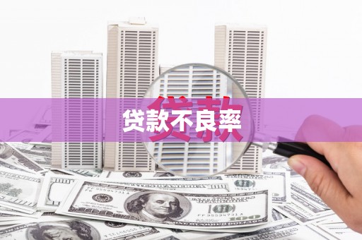 丰县贷款不良率