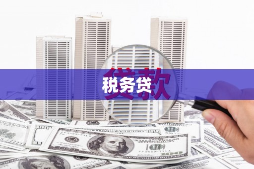 丰县税务贷