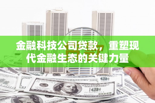 丰县金融科技公司贷款，重塑现代金融生态的关键力量