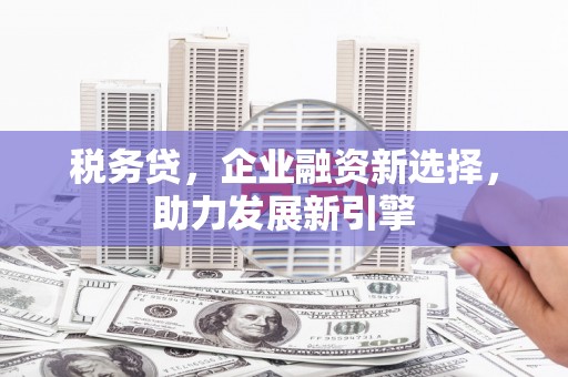 丰县税务贷，企业融资新选择，助力发展新引擎