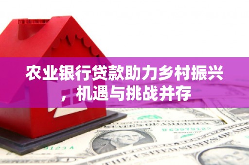 丰县农业银行贷款助力乡村振兴，机遇与挑战并存