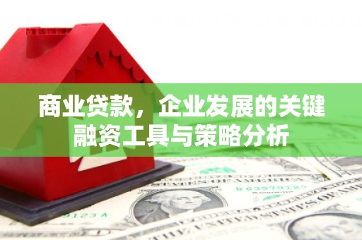 丰县商业贷款，企业发展的关键融资工具与策略分析