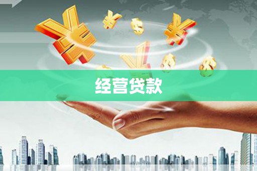 丰县经营贷款