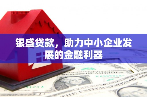 丰县银盛贷款，助力中小企业发展的金融利器