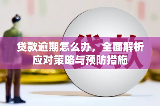 丰县贷款逾期怎么办，全面解析应对策略与预防措施