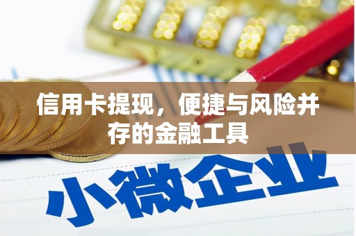 丰县信用卡提现，便捷与风险并存的金融工具