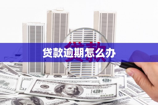 丰县贷款逾期怎么办