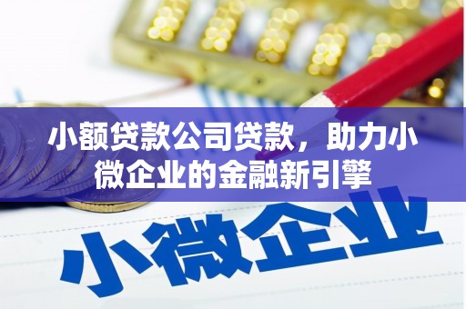 丰县小额贷款公司贷款，助力小微企业的金融新引擎