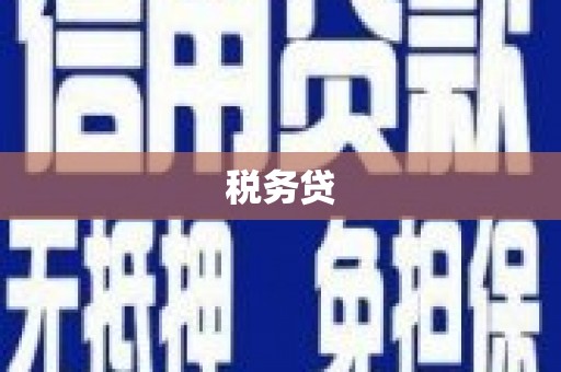 丰县税务贷