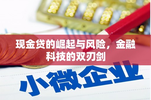 丰县现金贷的崛起与风险，金融科技的双刃剑
