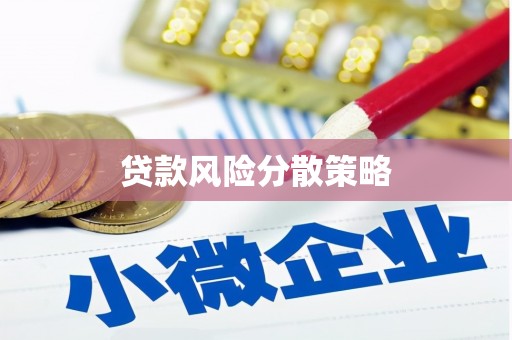 丰县贷款风险分散策略