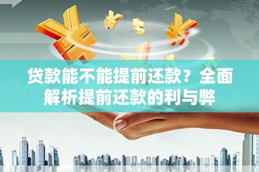 丰县贷款能不能提前还款？全面解析提前还款的利与弊
