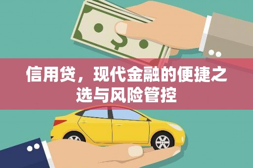 丰县信用贷，现代金融的便捷之选与风险管控