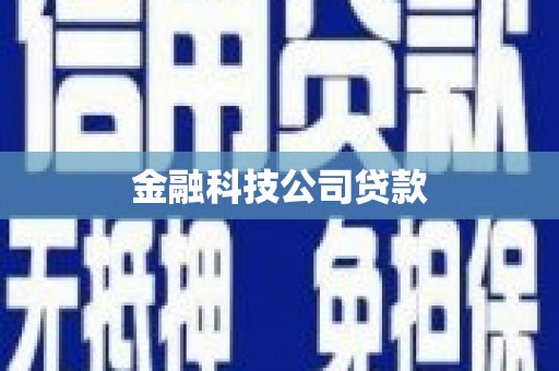 丰县金融科技公司贷款
