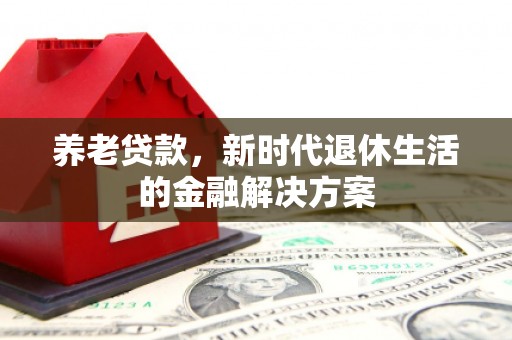 丰县养老贷款，新时代退休生活的金融解决方案