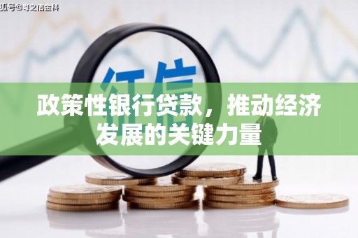 丰县政策性银行贷款，推动经济发展的关键力量
