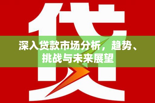 丰县深入贷款市场分析，趋势、挑战与未来展望