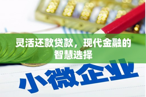 丰县灵活还款贷款，现代金融的智慧选择