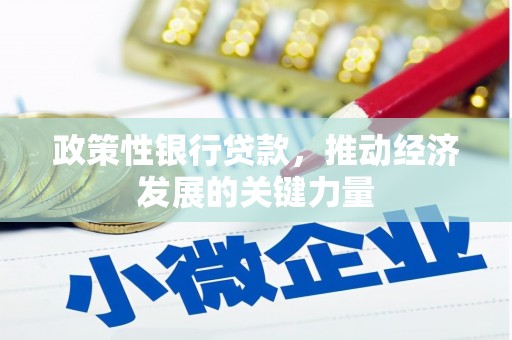 丰县政策性银行贷款，推动经济发展的关键力量